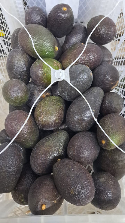 Palta Hass Chilena - 5kg