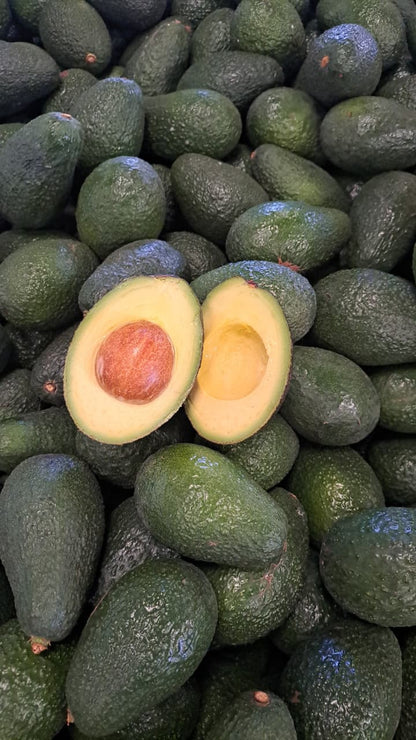 Palta Hass Chilena - 5kg
