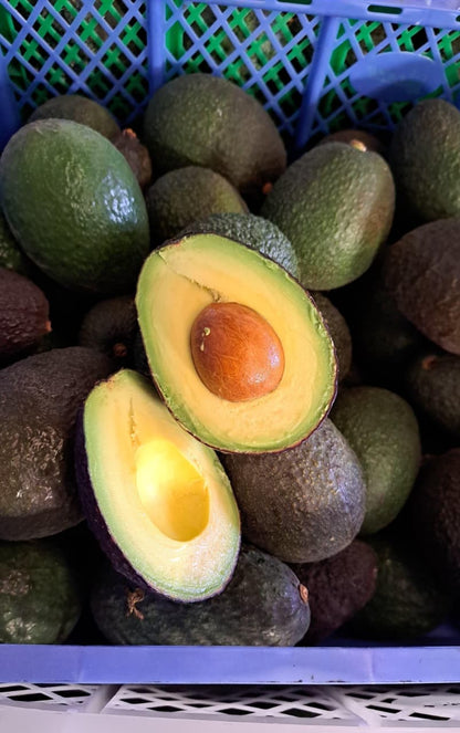 Palta Hass Chilena - 5kg